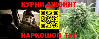 гидропоника Камышлов