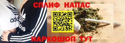 молекула духа Будённовск