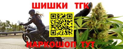 молекула духа Будённовск