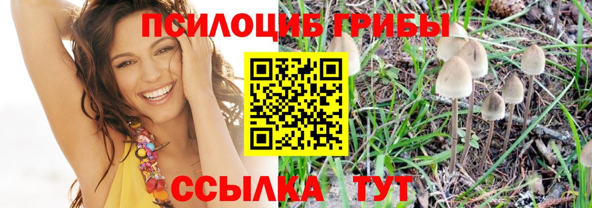 Искитим  Псилоцибиновые грибы Magic Shrooms  Вход с VPN  Галлюциногенные грибы Cubensis 
